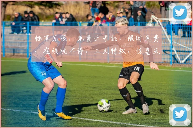 畅享无限，免费云手机，限时免费，在线玩不停，三大特权，惊喜来袭，不容错过