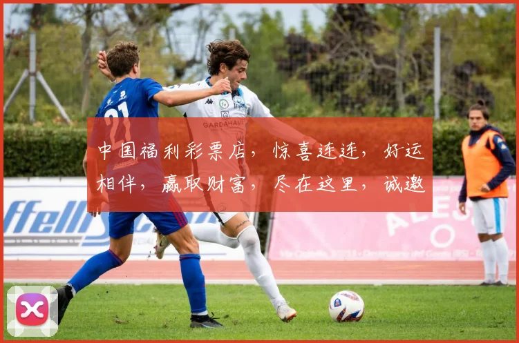 中国福利彩票店,惊喜连连,好运相伴,赢取财富,尽在这里,诚邀您的参与