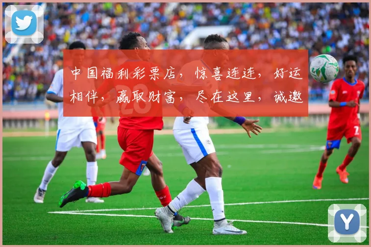 中国福利彩票店,惊喜连连,好运相伴,赢取财富,尽在这里,诚邀您的参与